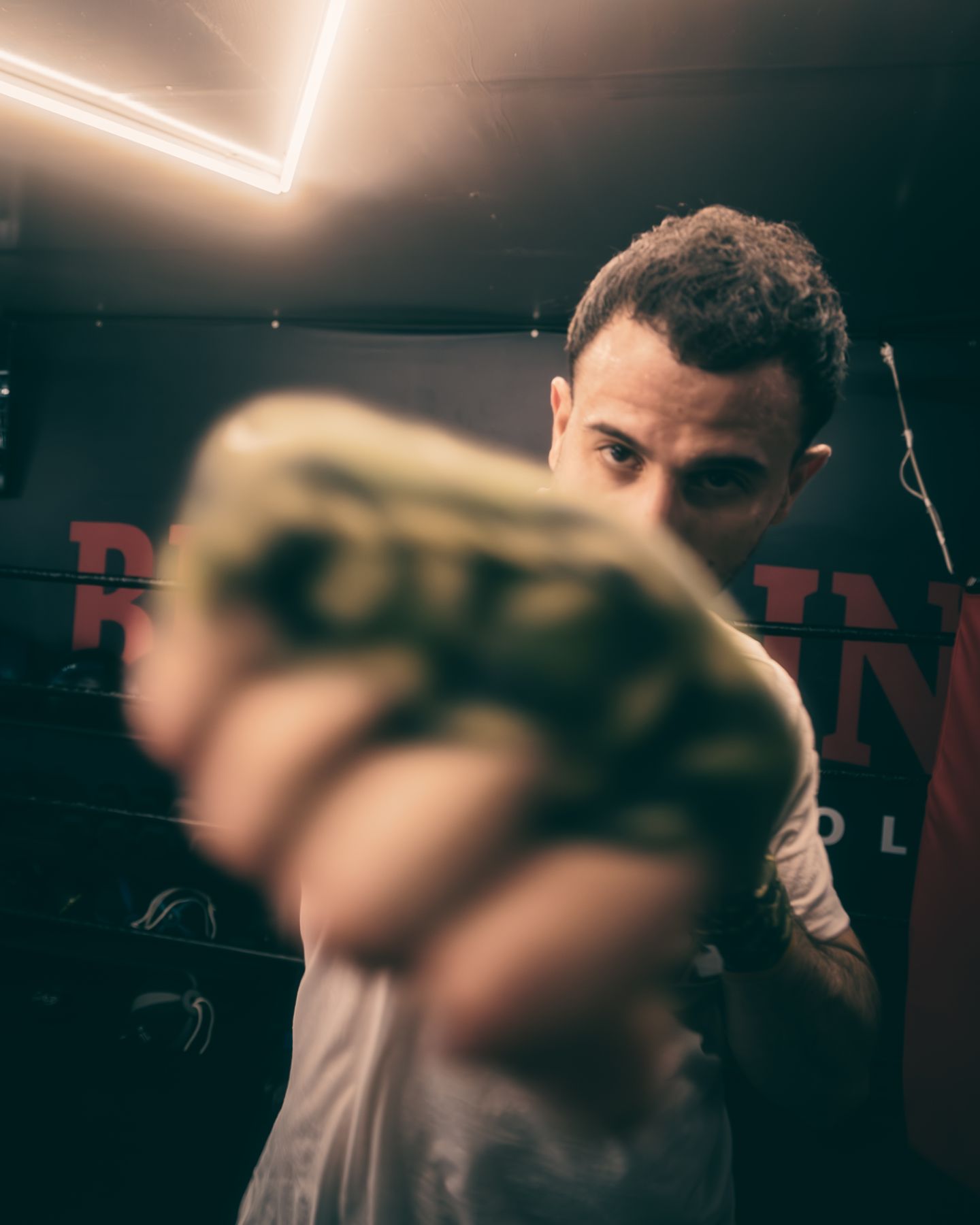 Boxer punching toward the camera